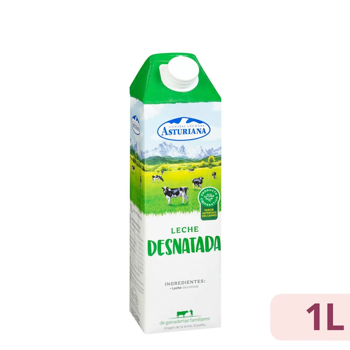Magermilch Asturiana