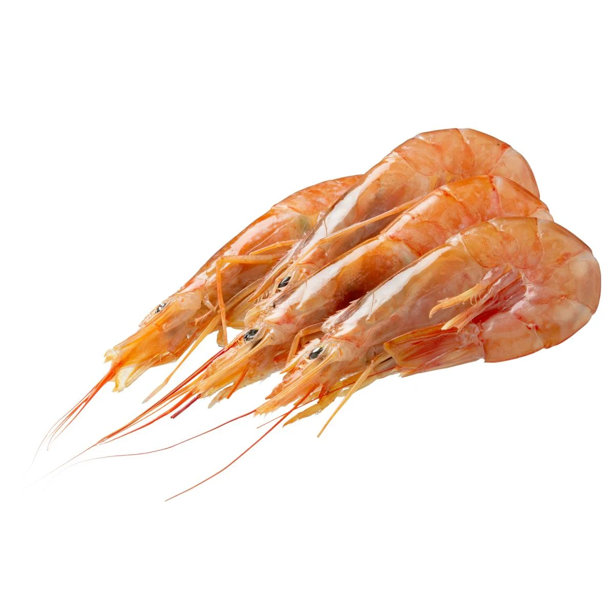 Langoustine argentine surgelée