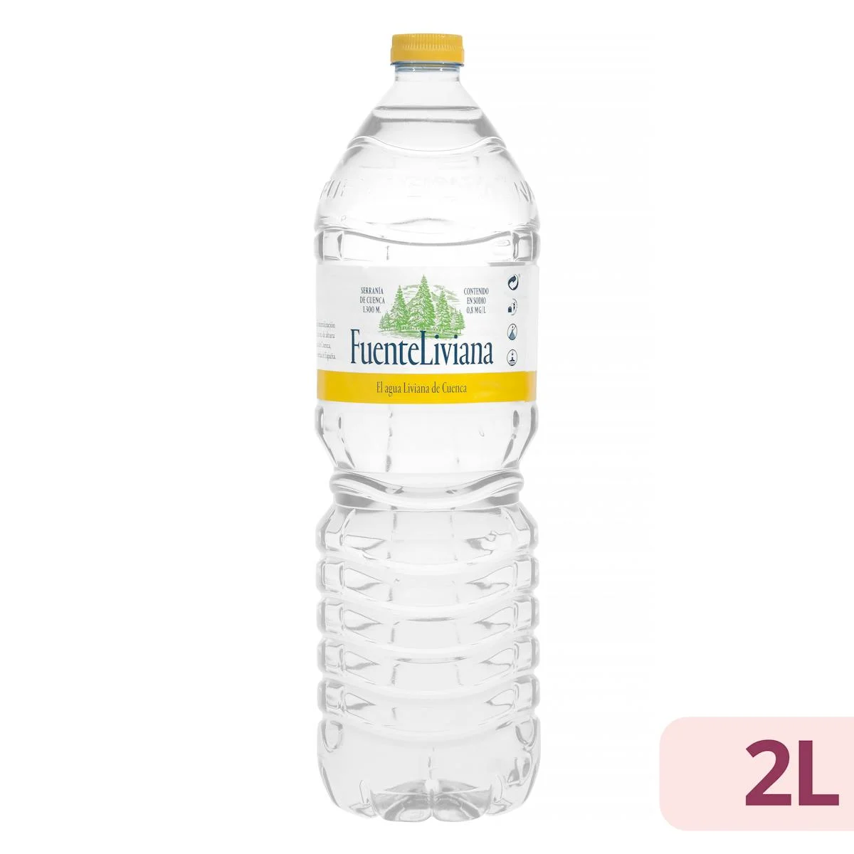 Agua mineral grande Liviana