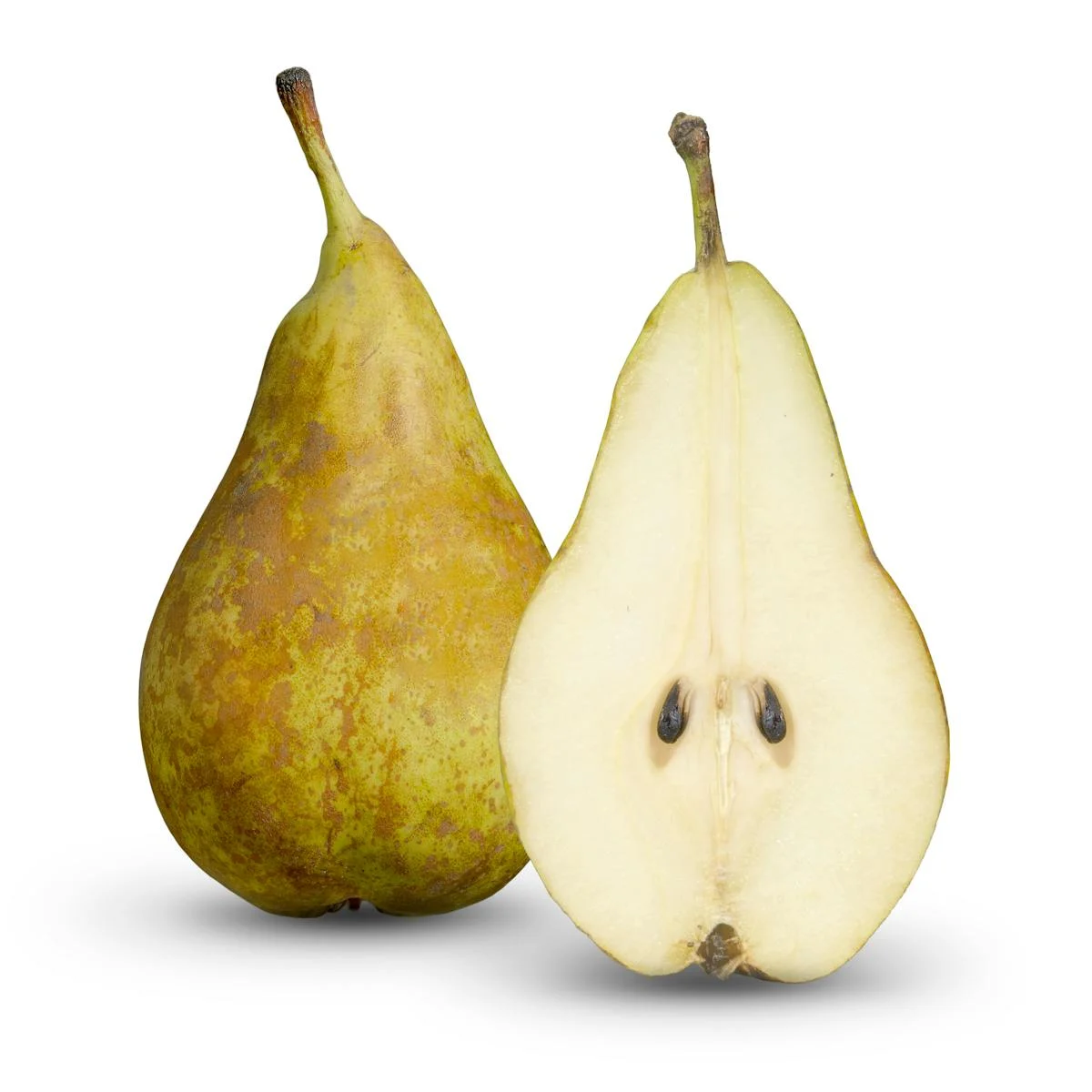 Conference pear