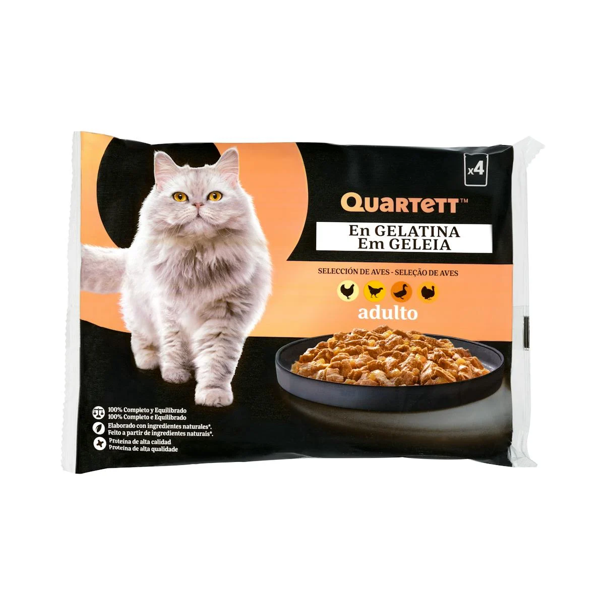 Poultry selection gelatin adult cat Quartett