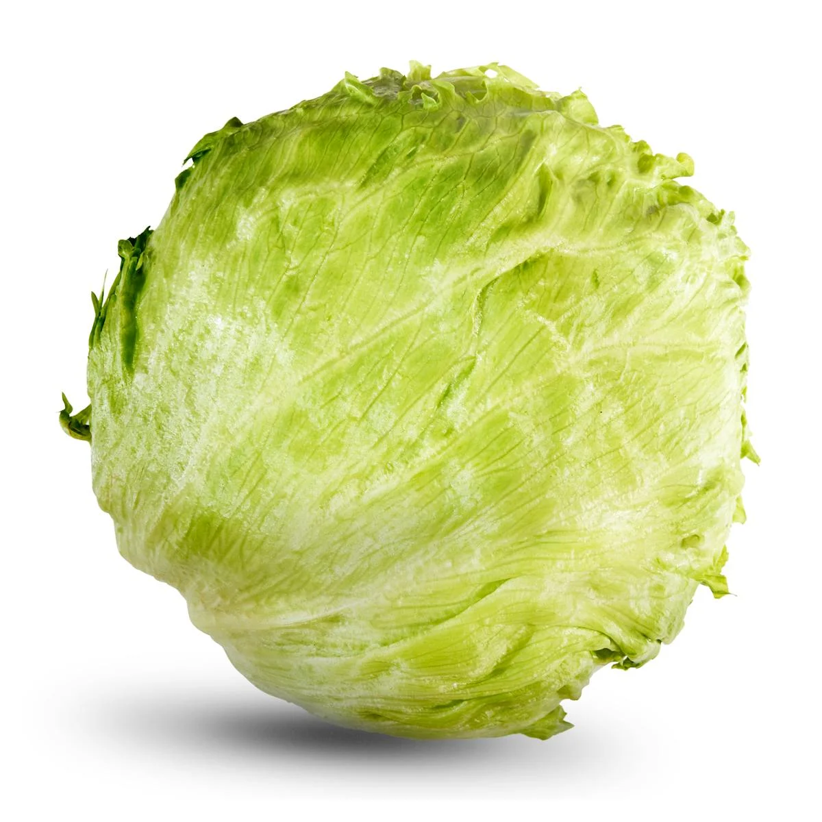 Eisbergsalat