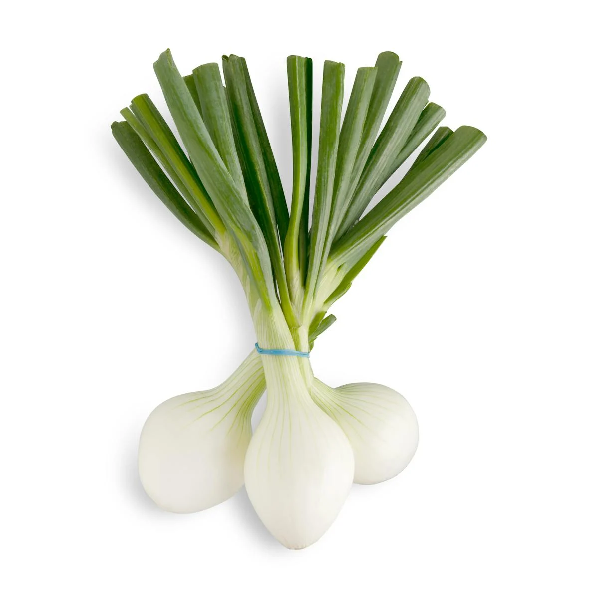 Spring onions