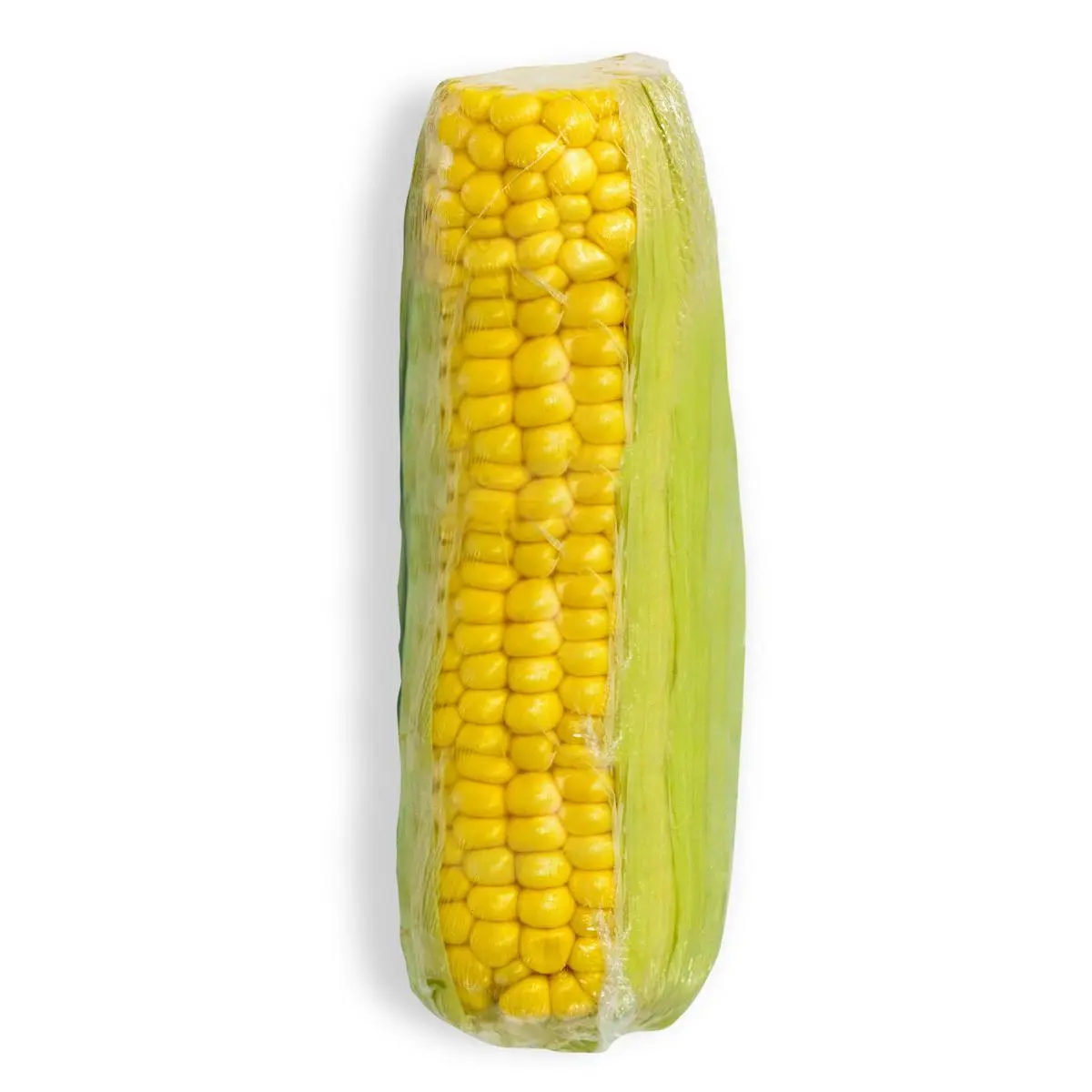 Sweet corn on the cob