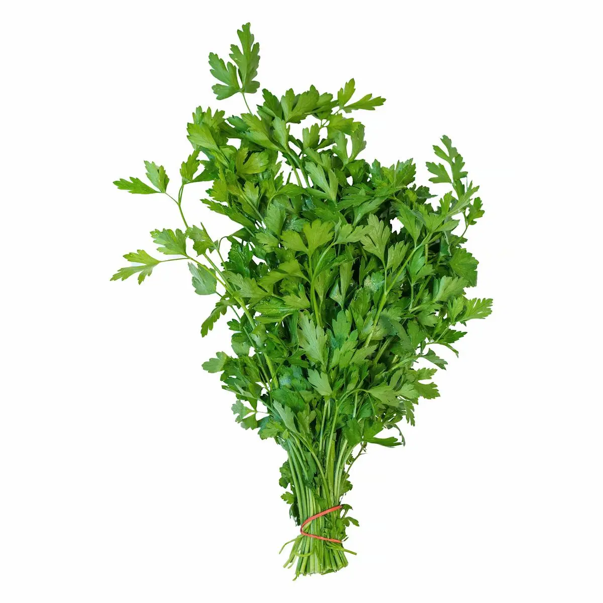 Parsley