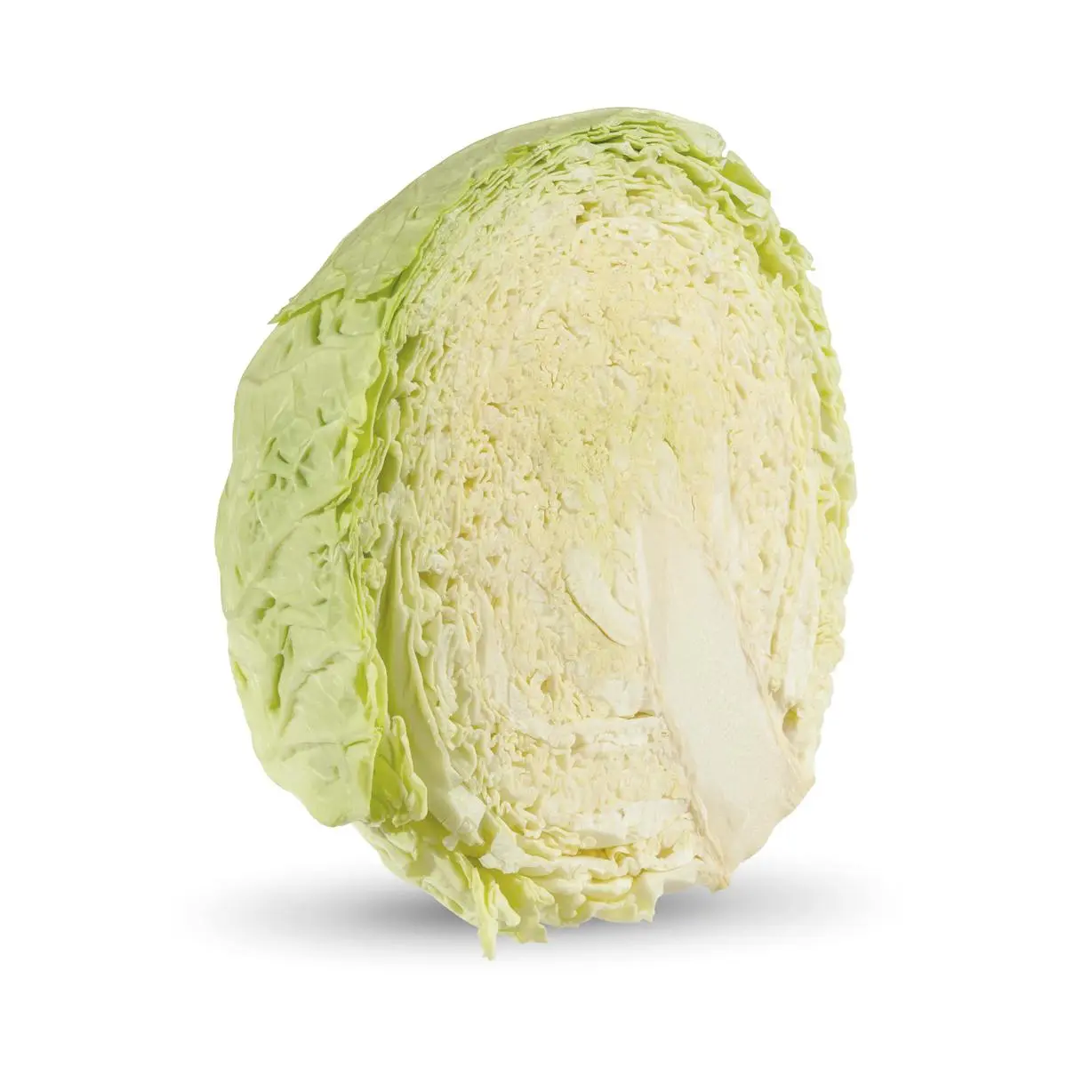 Half green cabbage