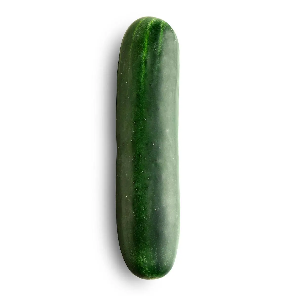 Concombre