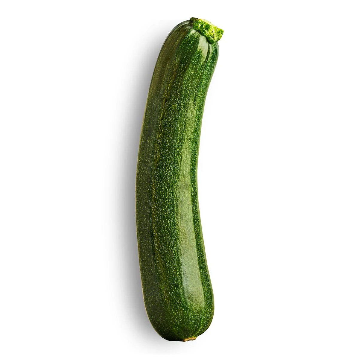 Courgette verte