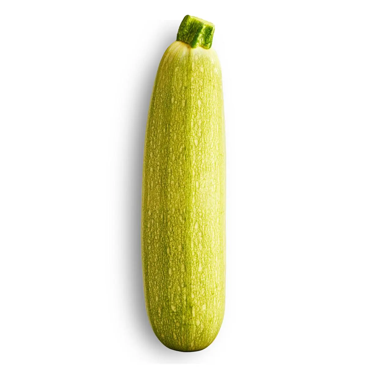 White courgette