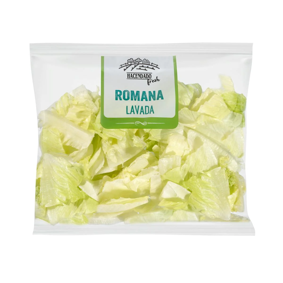 Washed romaine lettuce cut