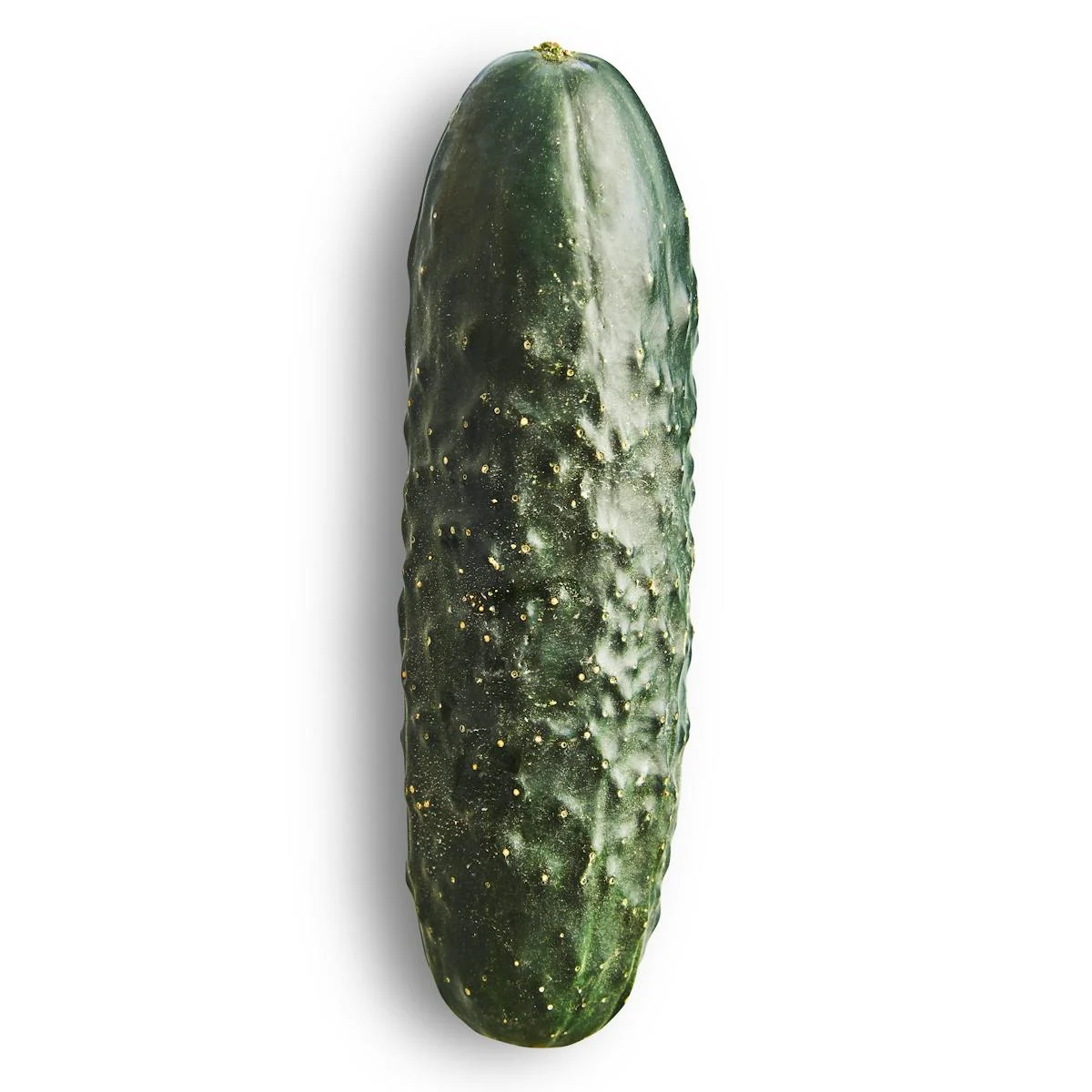 Cogombre