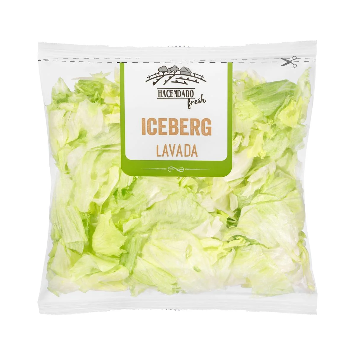 Washed Iceberg lettuce cut