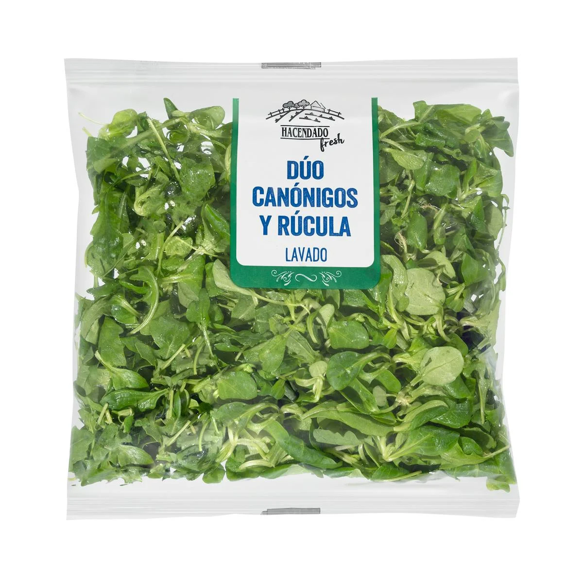 Washed lettuce and arugula duo salad mix
