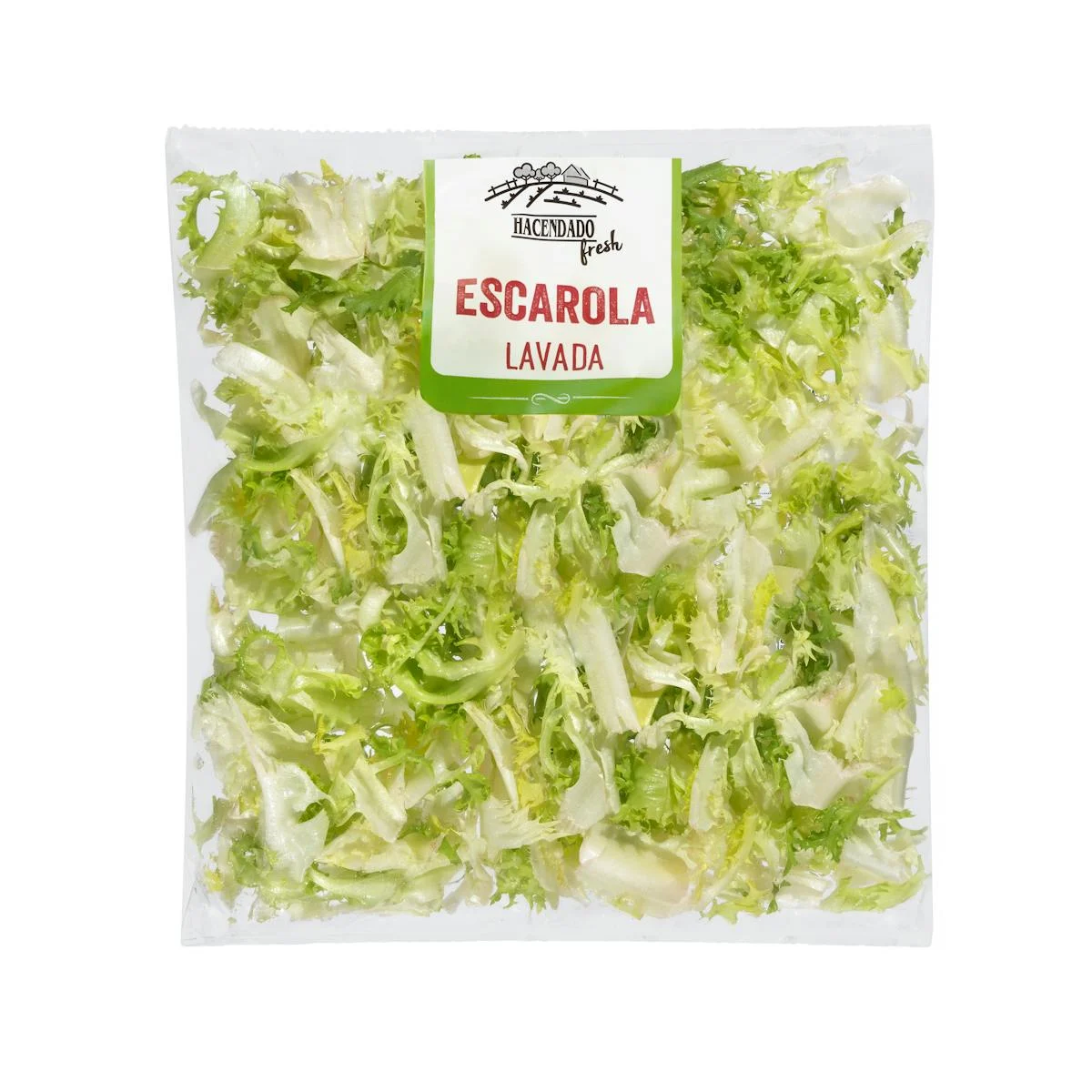 Washed curly endive cut