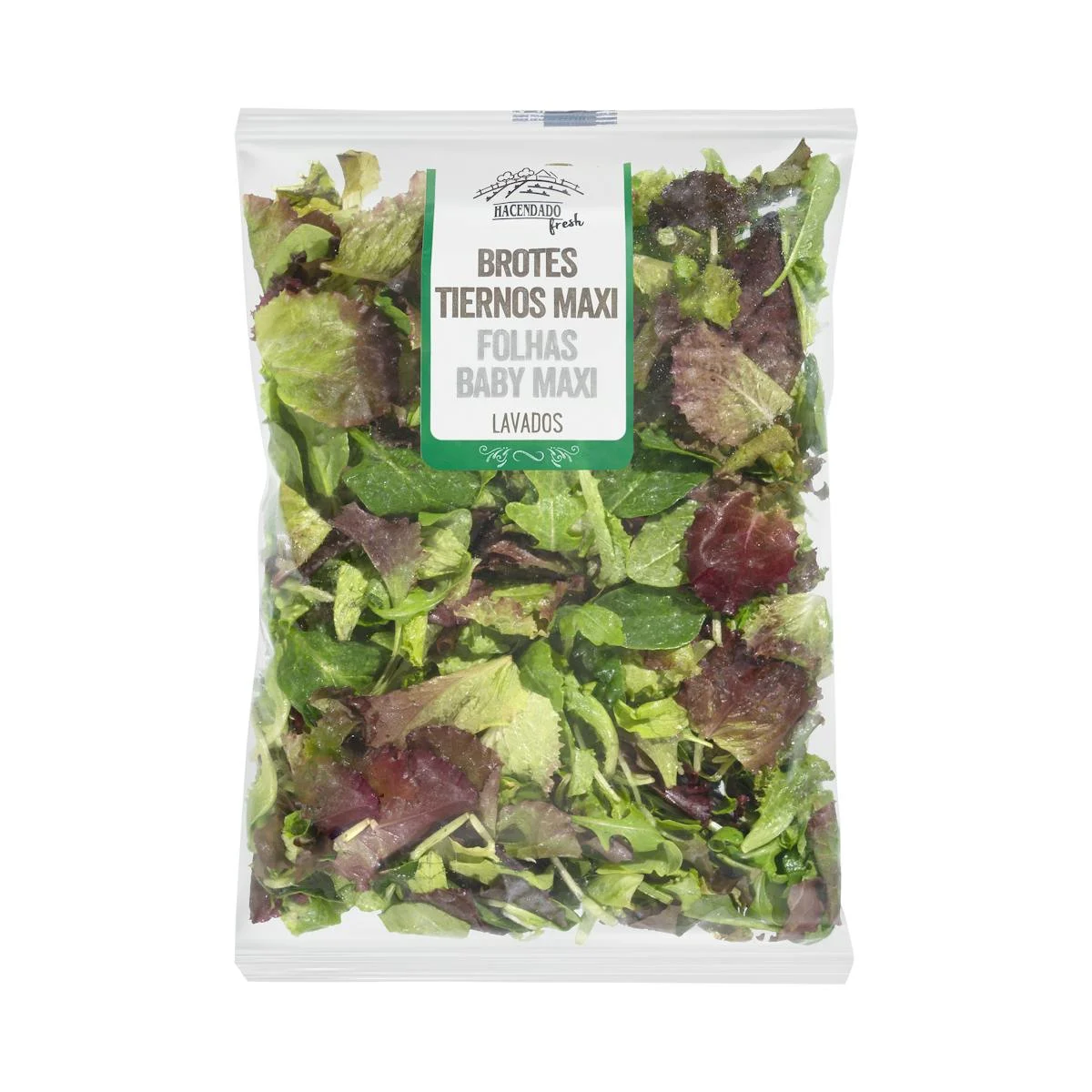 Washed maxi salad shoots mix