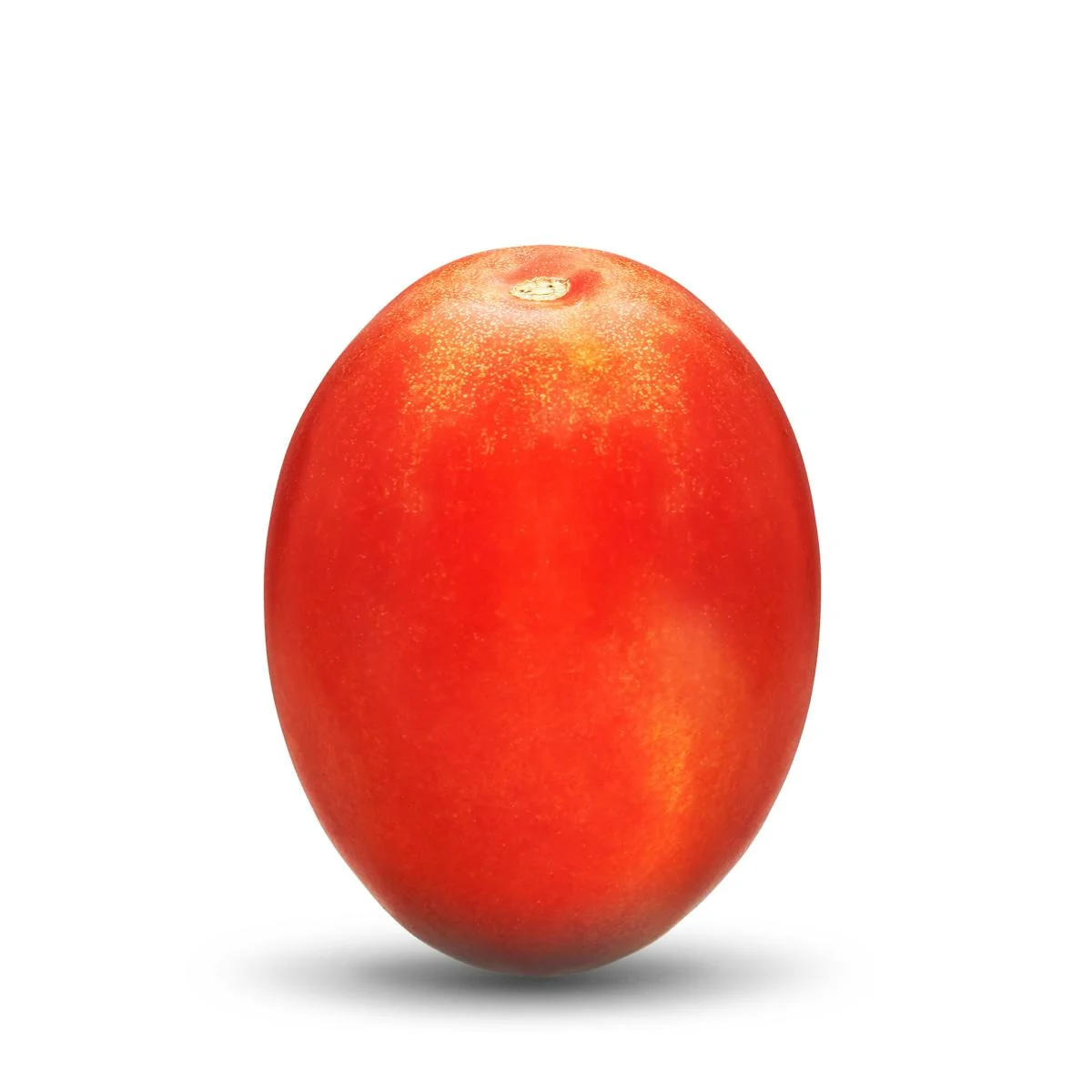 Tomate allongée