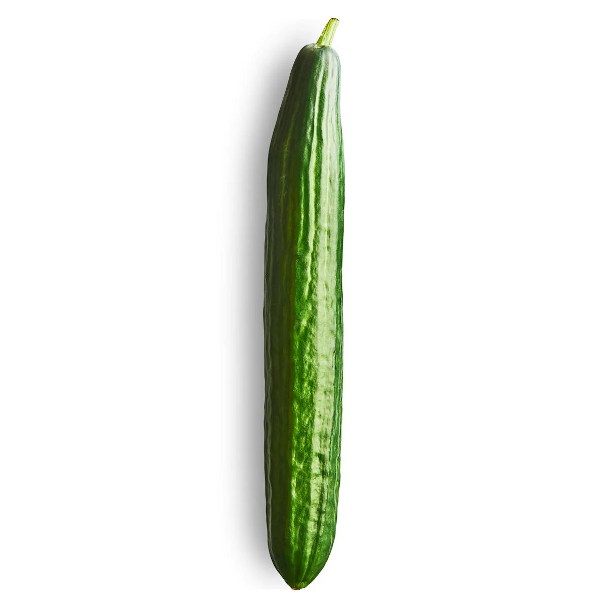 Dutch cucumber