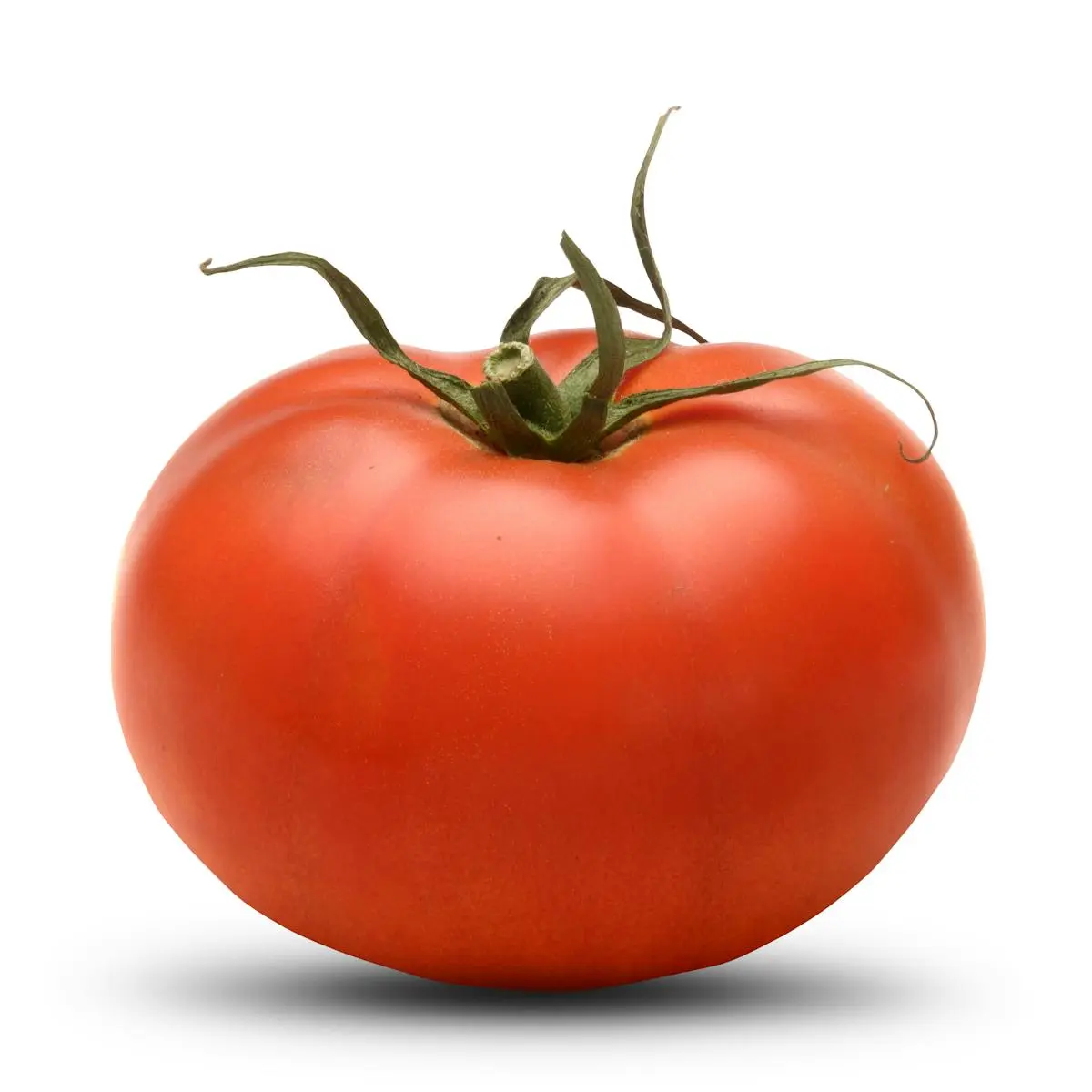 Salad tomato