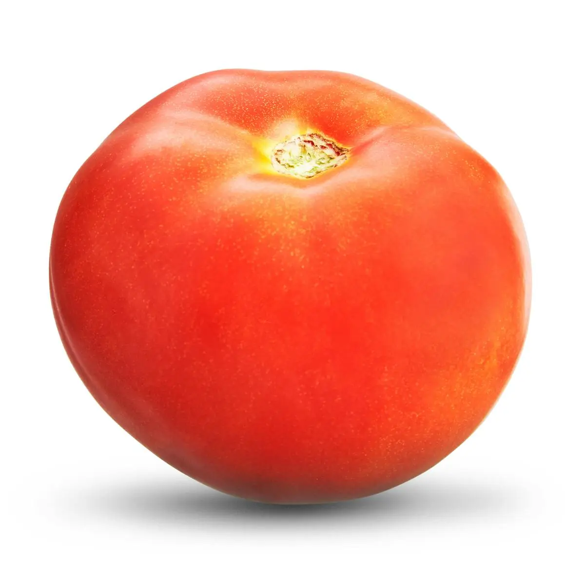 Sauce tomato
