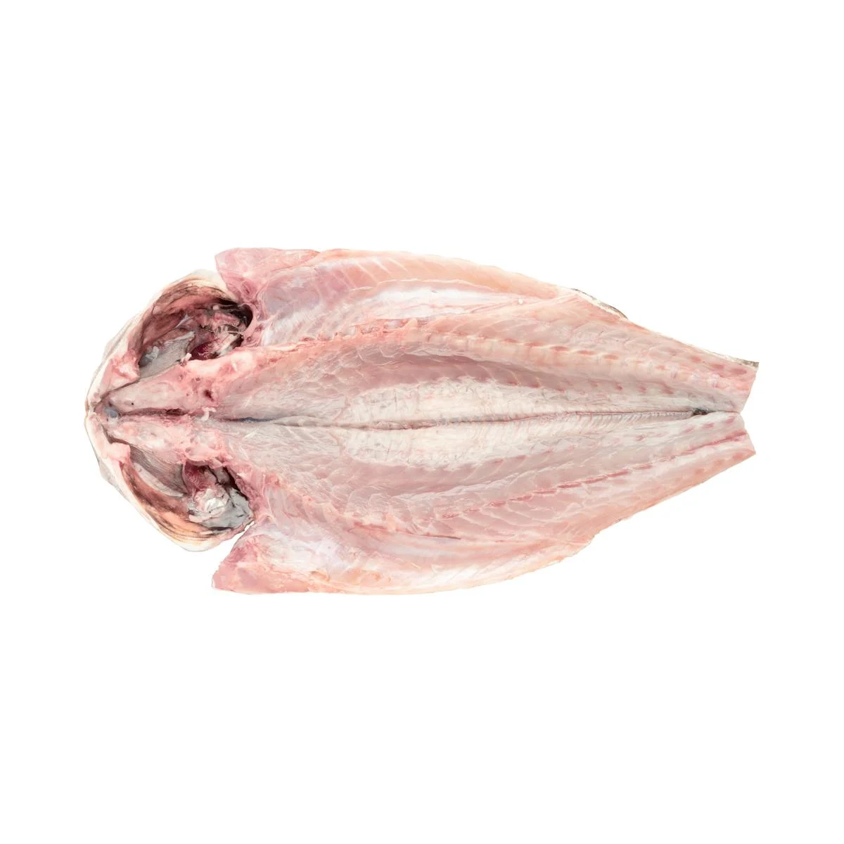 Open back meagre with bones and head
