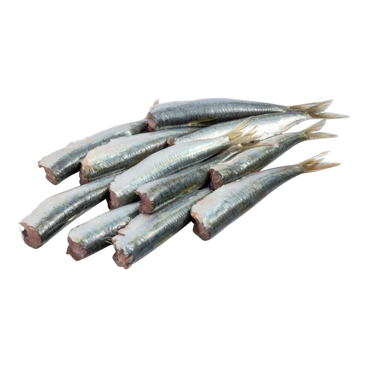 Clean sardine without head