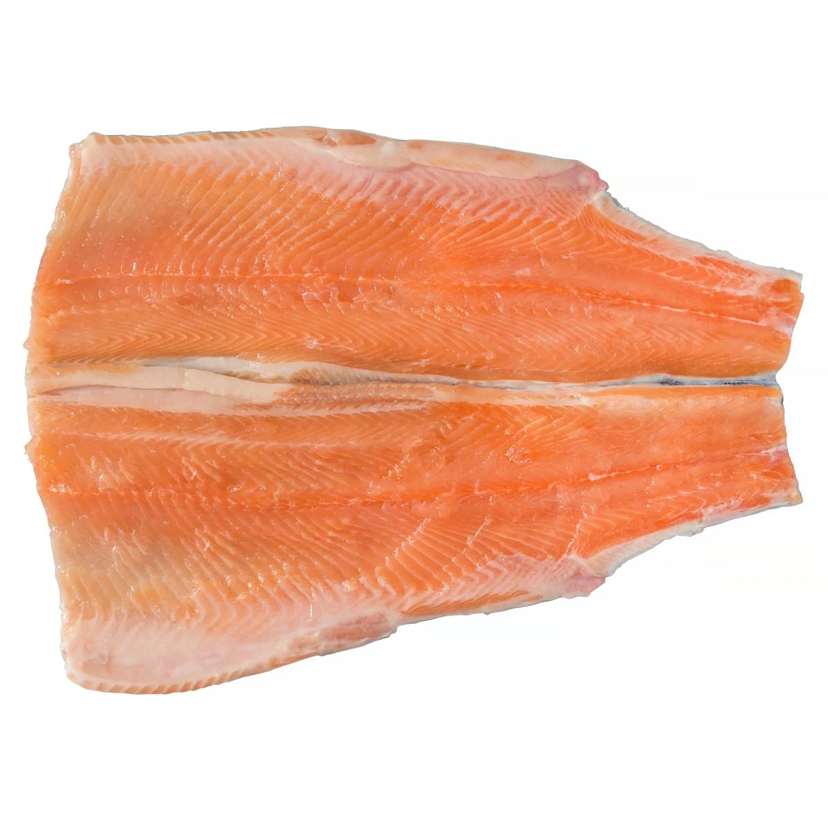Butterflied trout without head and bones
