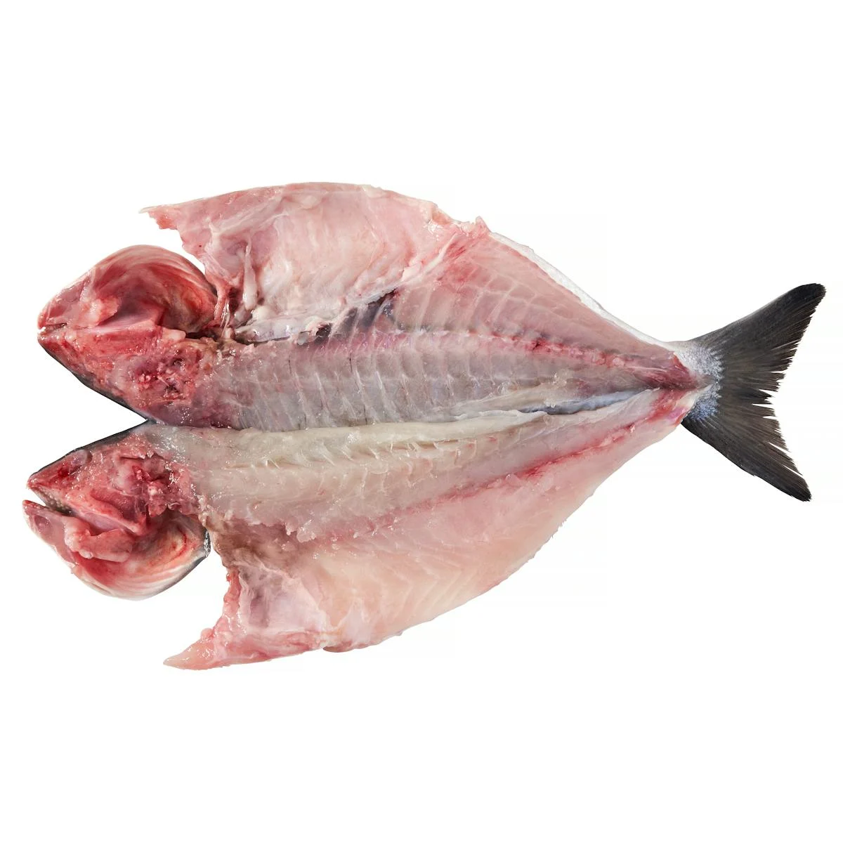 Dressed sea bream
