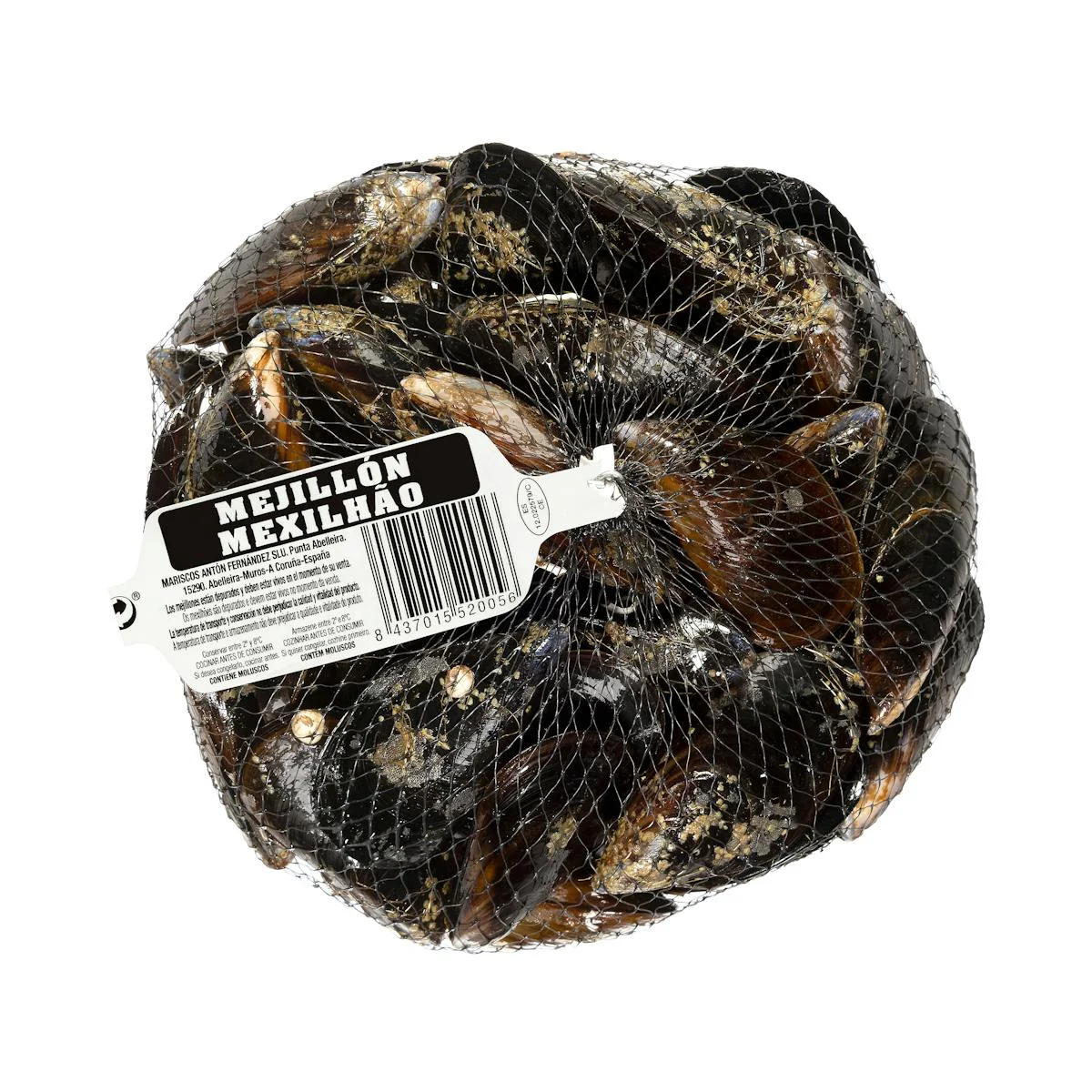 Musclo