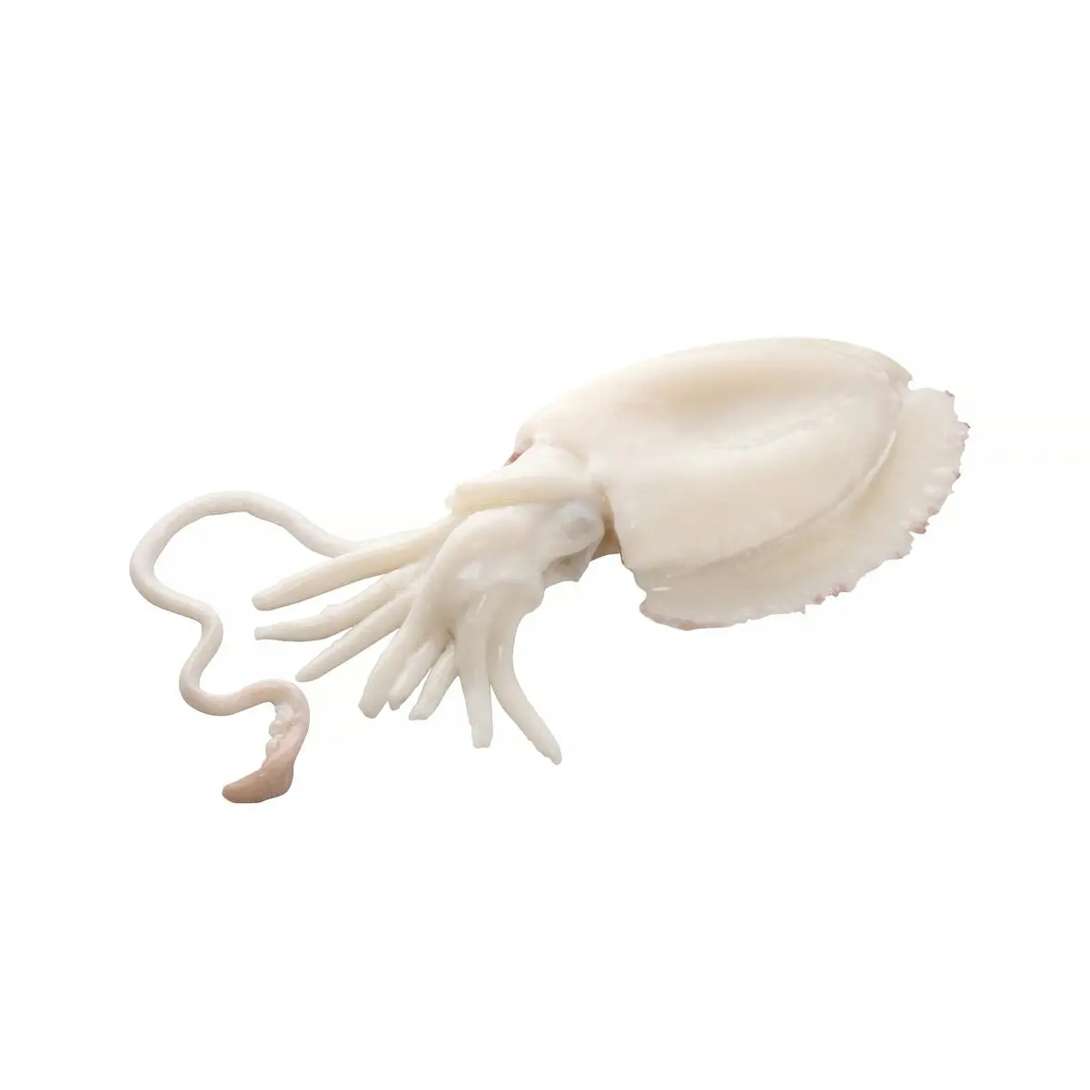 Seiche moyenne décongelée