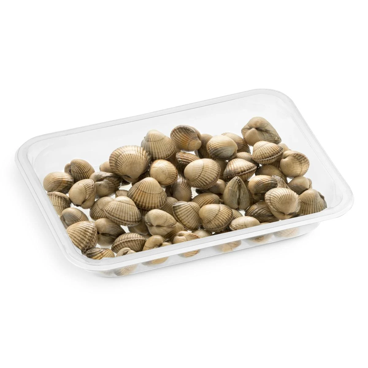 live Cockles