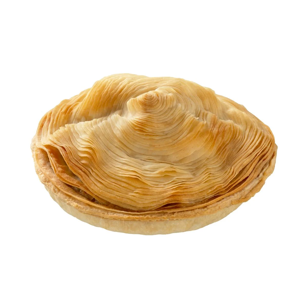 Fleischpastete