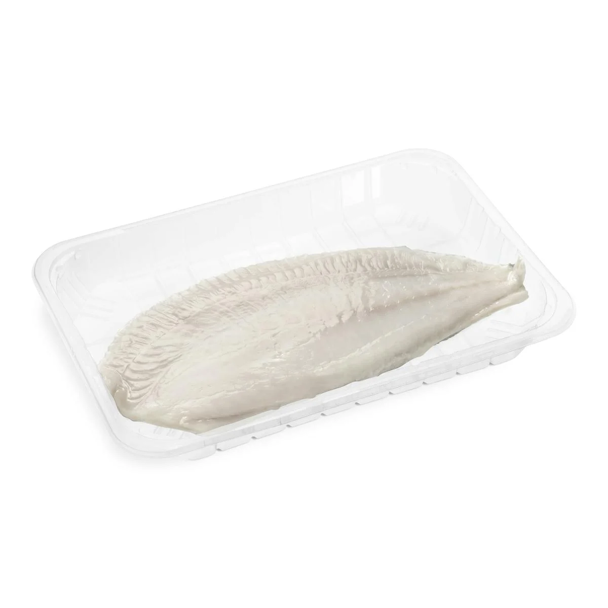 Steinbuttfilet