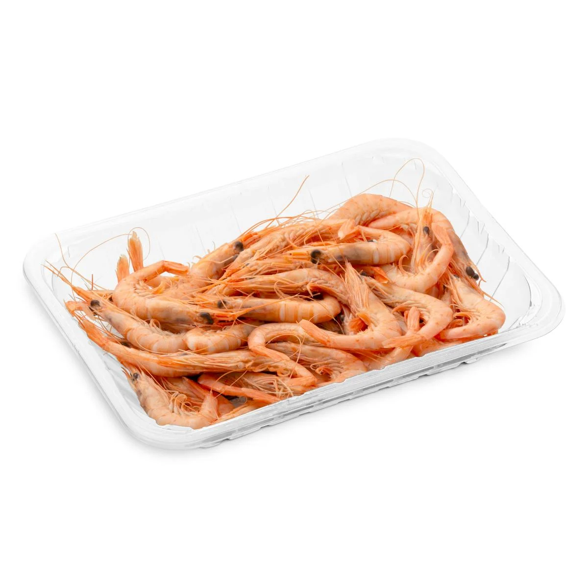 Gamba cuita