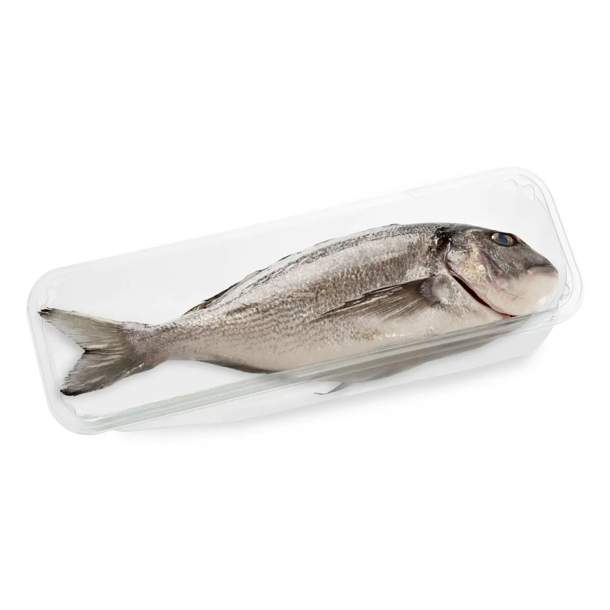 Dorade vidée