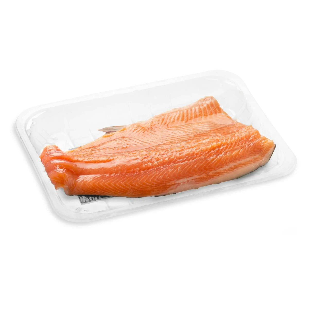Trout fillets Arco iris