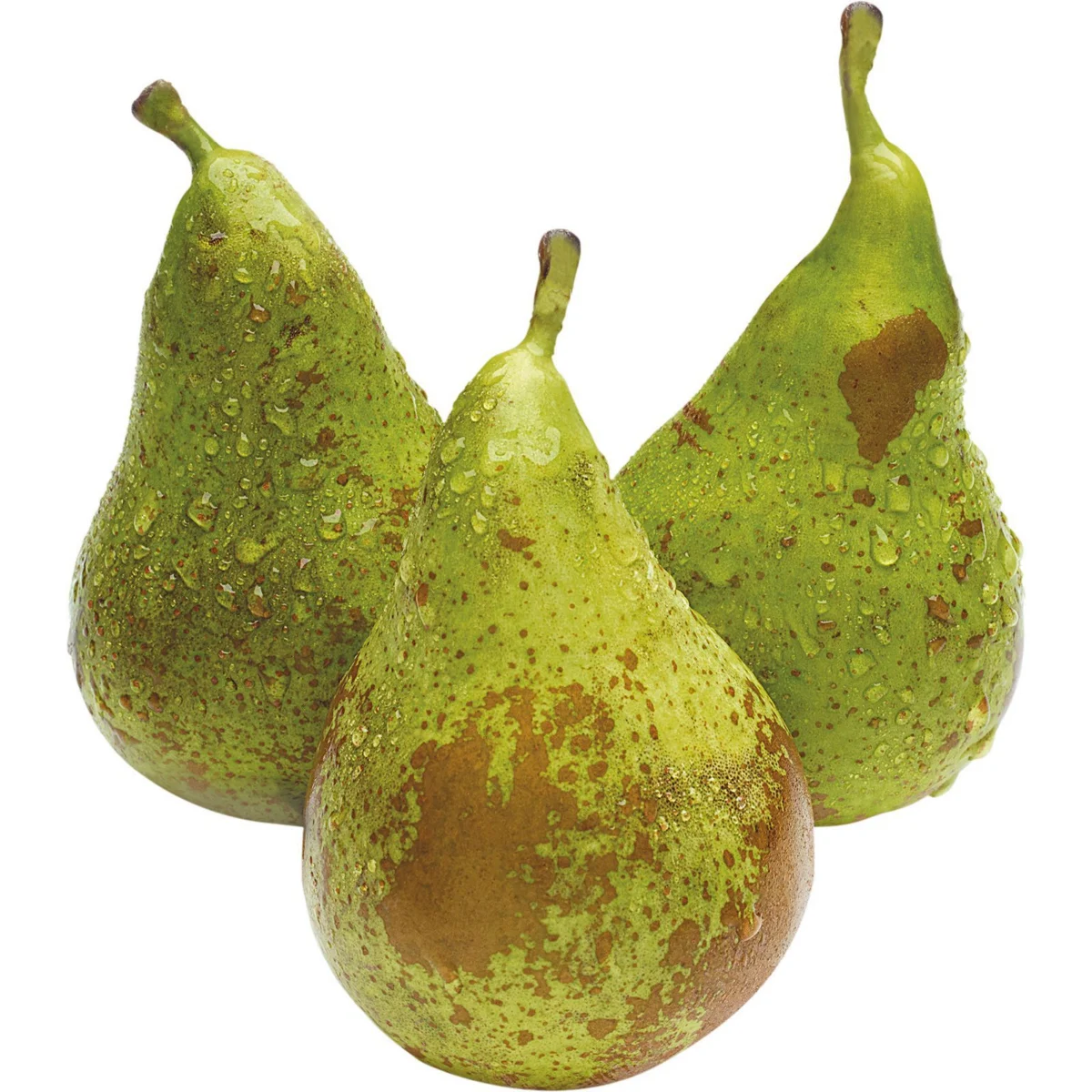 Conference pears