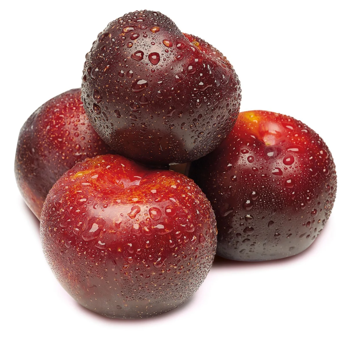 Rote Pflaume