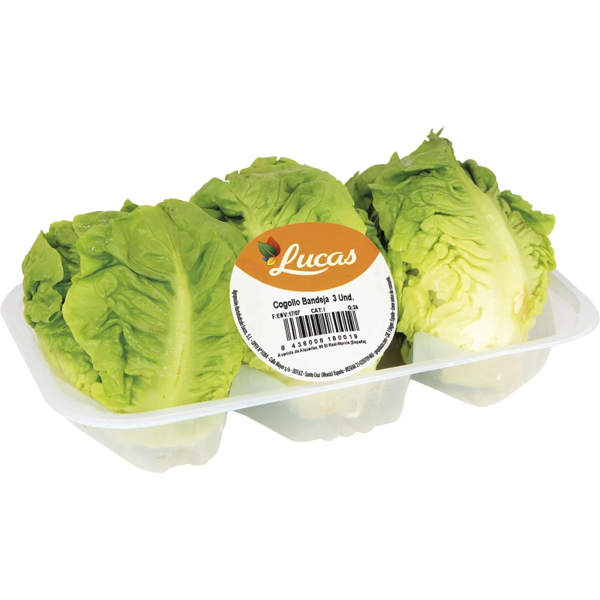 Lettuce hearts, 3 units, approx. weight 330 Gr.
