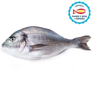 Dorada Crianza de España