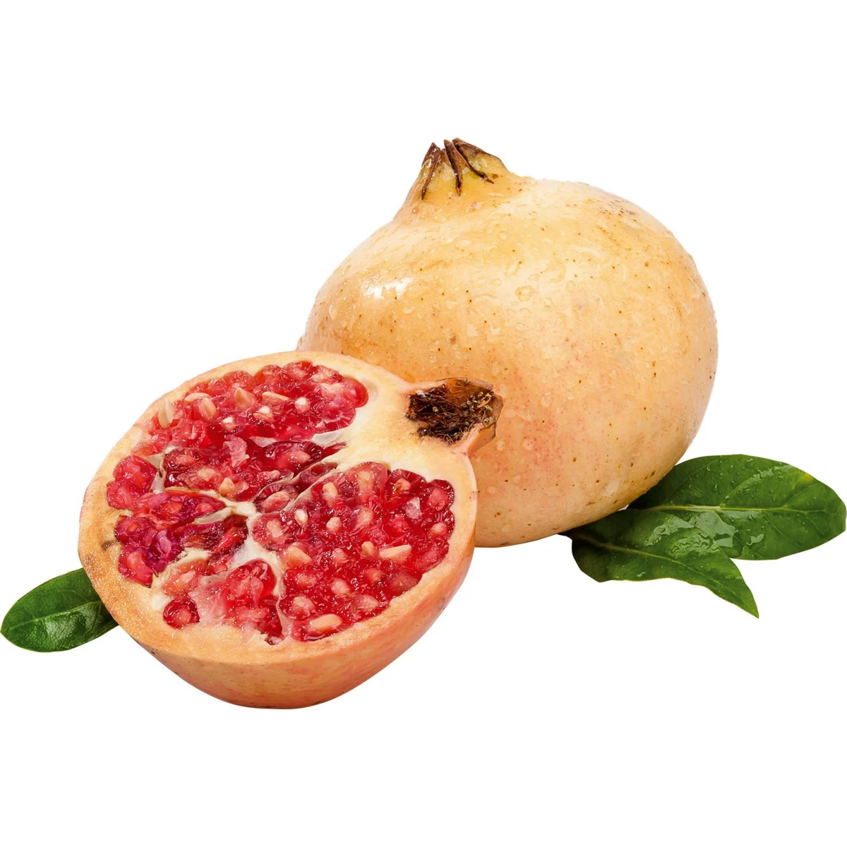 Pomegranate