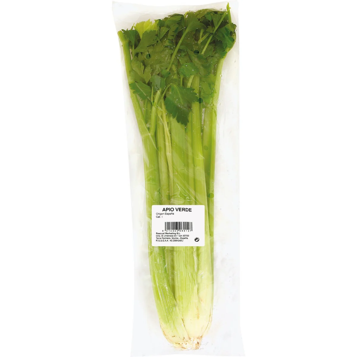 Apio Verde Manojo Peso Aproximado 600 gr