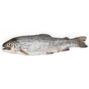 Trucha Arcoiris Salmonada