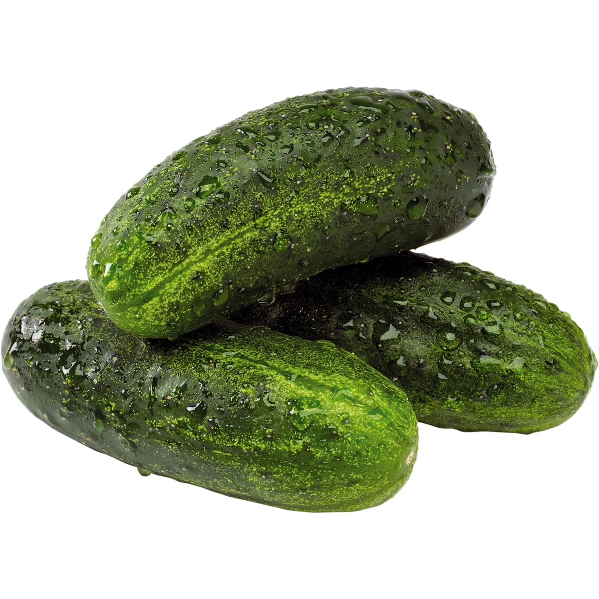 Pepino