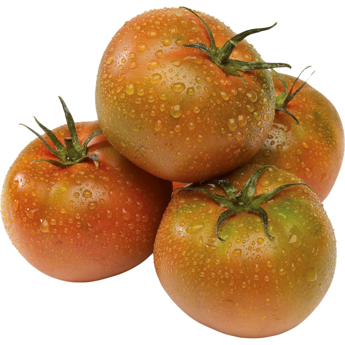 Tomate à salade