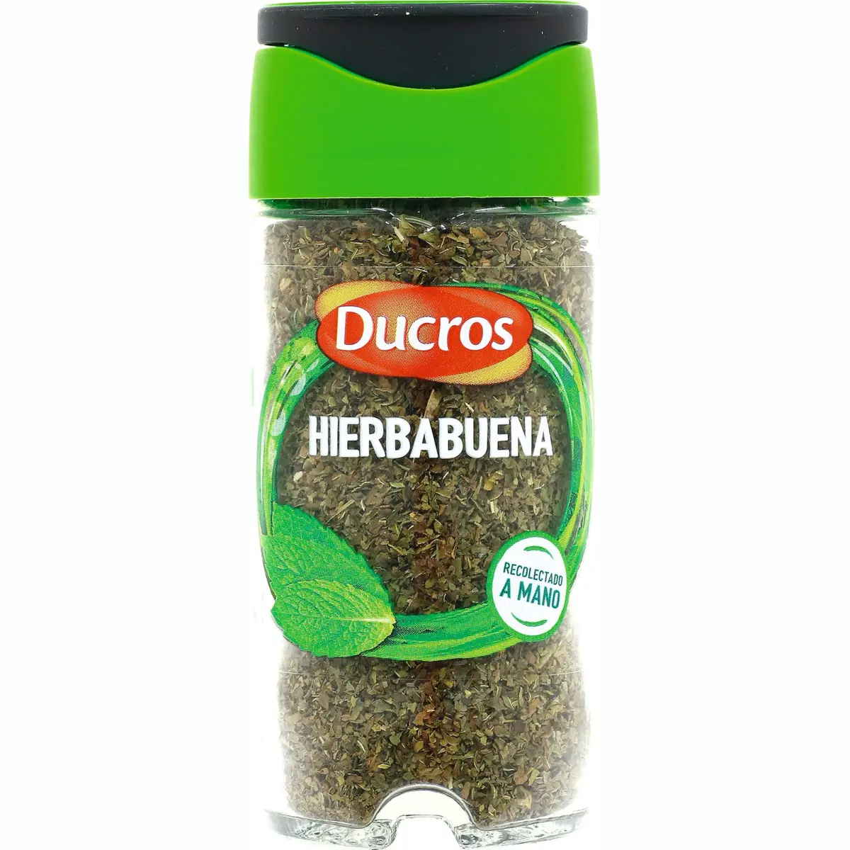 Menta verda en pot Ducros