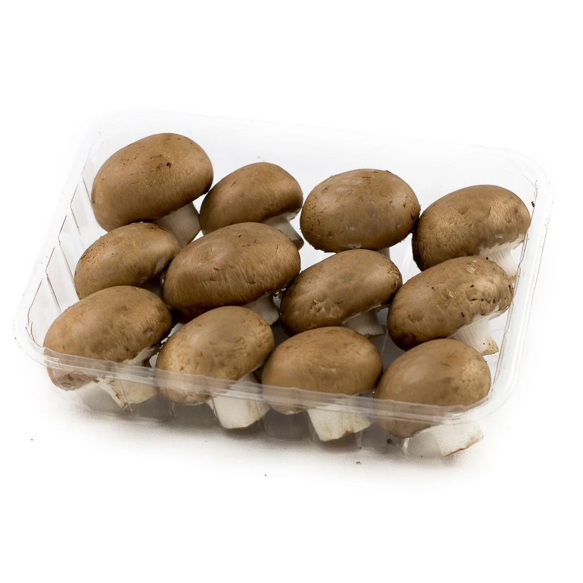 Champignons portobello, barquette