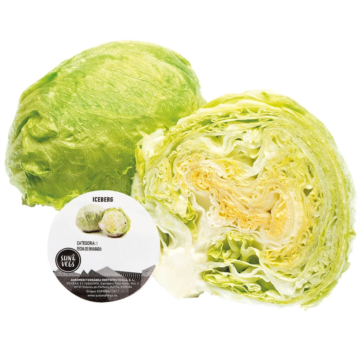 Lechuga Iceberg Peso Aproximado 350 Gr.
