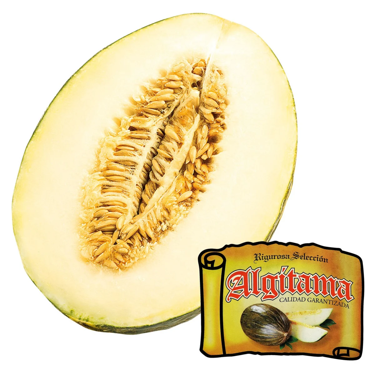 Melón Piel de Sapo Partido