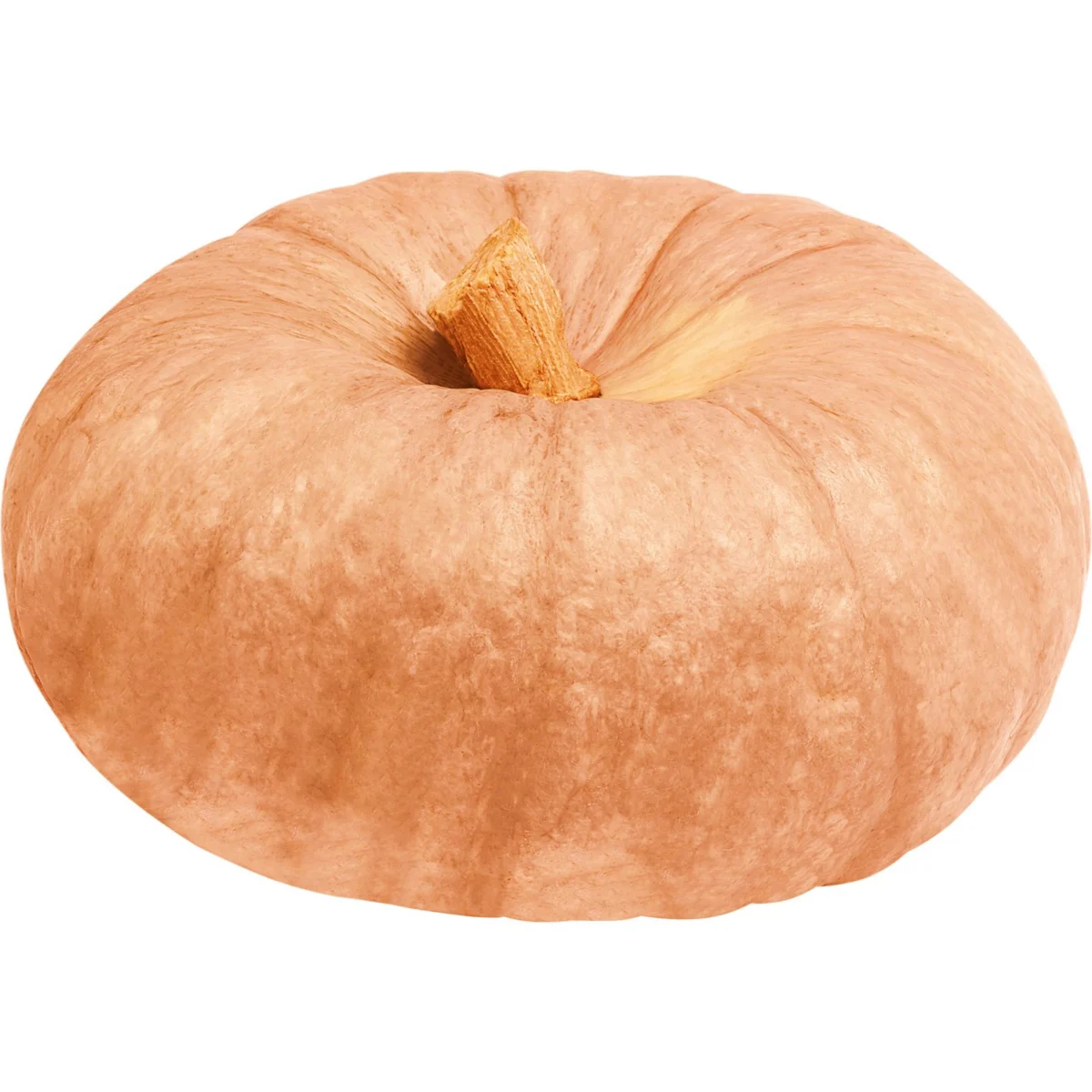 Courge entière à rôtir