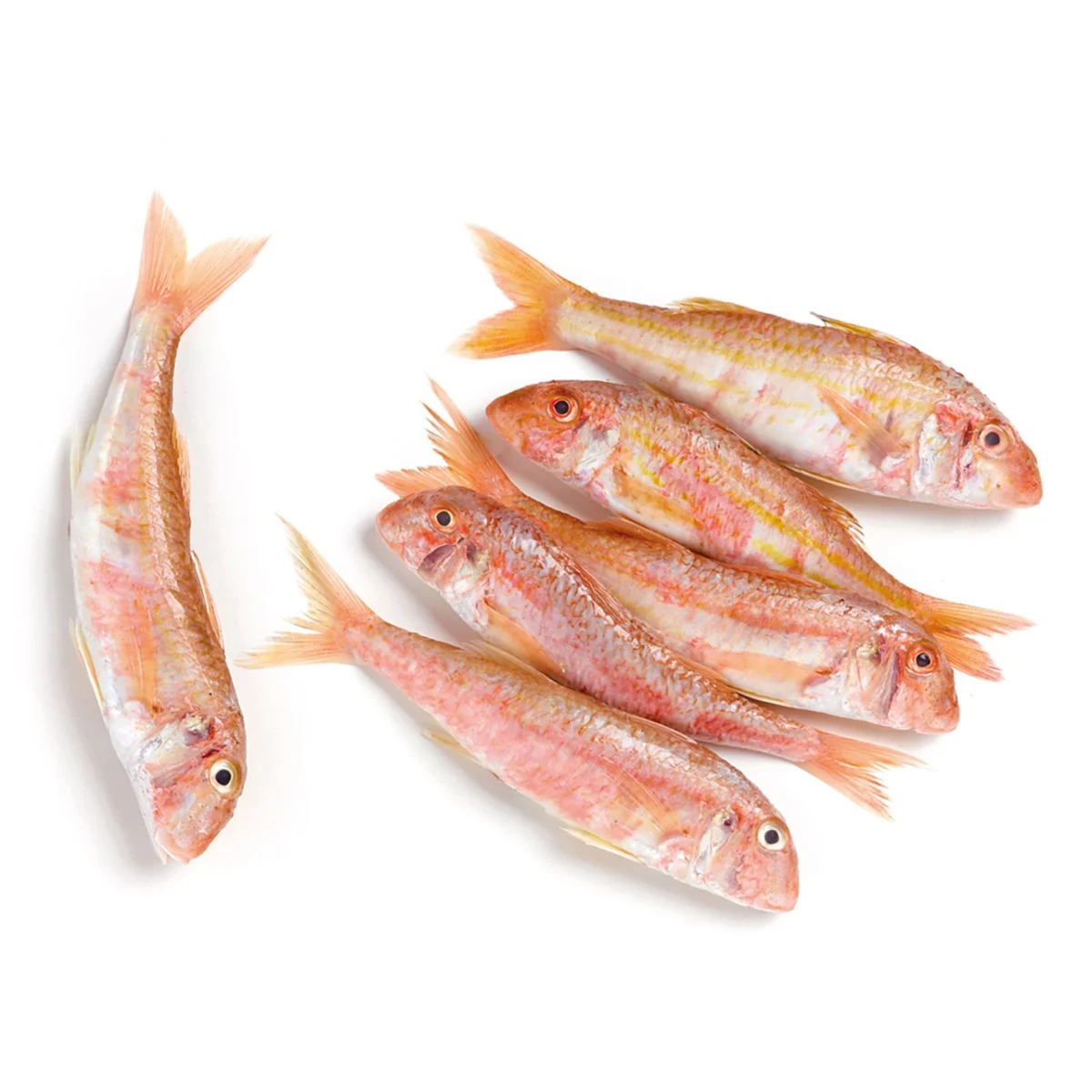 Red mullet Lonjas del Mediterráneo
